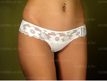 P2008. ���� ������� �� 2��.   505 ���.