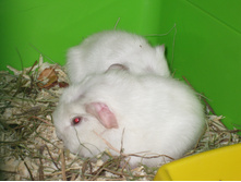 IMG 4334.JPG