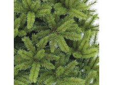 ����� �������