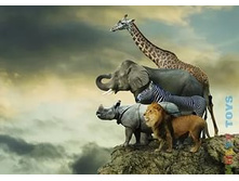 16737 ���� 500 ������� �������� �� ���� �����.jpg