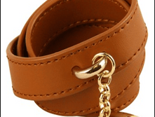 Image419.png