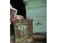 7947259.DSCN6853 thumb.jpg