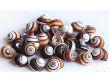 ������� ��������� ��., �������:8892, 190�