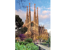 15986 ���� 1000 ������� - ������� �������.jpg