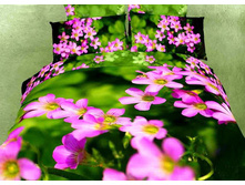 ���. TS01-581.jpg