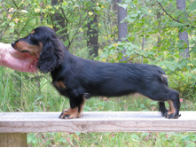 11927825 925702104162880 740107323209858086 o.jpg