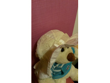 ������ 50-52 50���