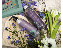 310 ��� ����� <<������ ������>> ���� �� ����� <<������� � �������>>