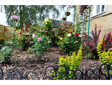 540fc07d3ef77 dsc0839.jpg