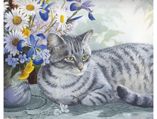 �������� ����� 48 ��  38 Ag 538 - 1285 ���.