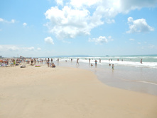 ���� ����, ���� 2015�