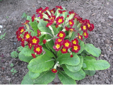 ���� 2014 102.jpg