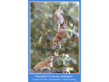 ��������)