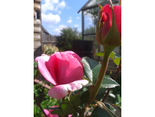 2015-08-09 10.21.00.jpg