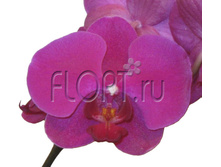 ���������� ���������� 2���. 12�65. 943,95 ���.jpg