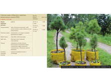 ������� ����� ����������- �������� ������������ ������ 30-45�� 2 ���� 2000�, 30-50�� 4-5��� 3000���, 60-80�� 4-50��� 8000���.jpg