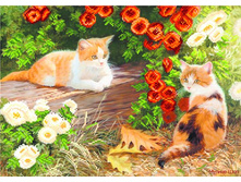 �������� ����� ���.4054