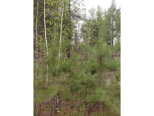 IMG 20160427 163421.jpg