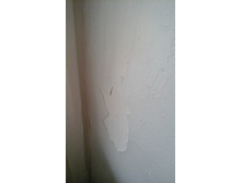 20160403 111204.jpg
