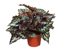 ������� ����������� �������� 12�27. 168,53 ���.jpg