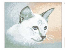 ��������� ������� �� ����� ���.808