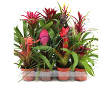 �������� ���� 12�45. 386,83 ���.jpg