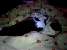 PHOTO 20160121 001221 PAST SHOT 07.jpg