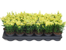 ��������� �������� ������������ ���� 8�15. 102,1 ���.jpg