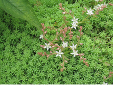 ���� 2014 220.jpg