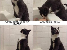 ��-��-��-��! ������� � ����!