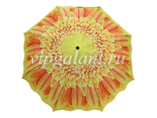 RDH 733839 R (13).jpg