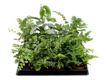 ���������� ���� 8�20. 74,55 ���.jpg