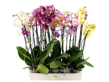 ���������� ���� 4���. 4��. 12�50. 1244,87 ���.jpg