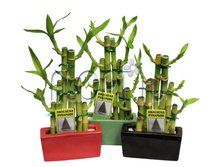 ���� ������ ������ 14�25. 388,06 ���.jpg