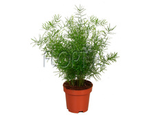 ��������� ���������� ��������� 12�35. 169,05 ���.jpg