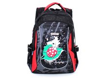 5-P4 ����� ���� 480 ������