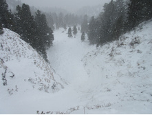 �������� �����