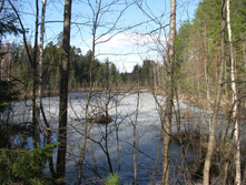 IMG 7589.jpg