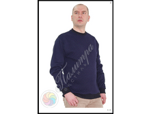 ��������� �������, ���������.png