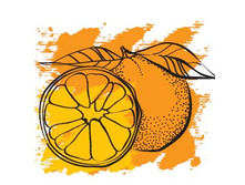 137 ���. ������� ����� �������� �������