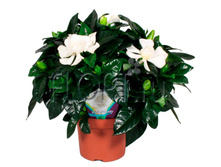 �������� ������������� 13�30. 486,15 ���.jpg