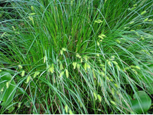 ����� ���������� 160�.jpg