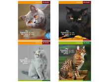 ������� 48�. �5 ������ �������� �����, ���������� ��� 18,96.jpg