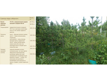 ������� ����� ���������� 140-170�� �����-4 000���, ���� � 6 000���, ���� � ���� 8 000���.jpg