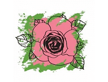 202 ���.�������� ���� ���������