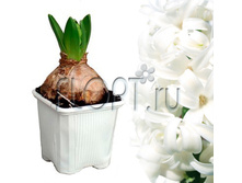 ������� ���� ���� 9�15. 64,05 ���.jpg