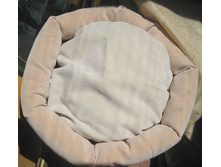 IMG 7052.JPG