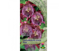 ���������� ����� ��� ����� 19,68 ���..jpg