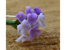 ������� ��� ����� "������"