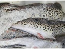 ������� ������� ��������